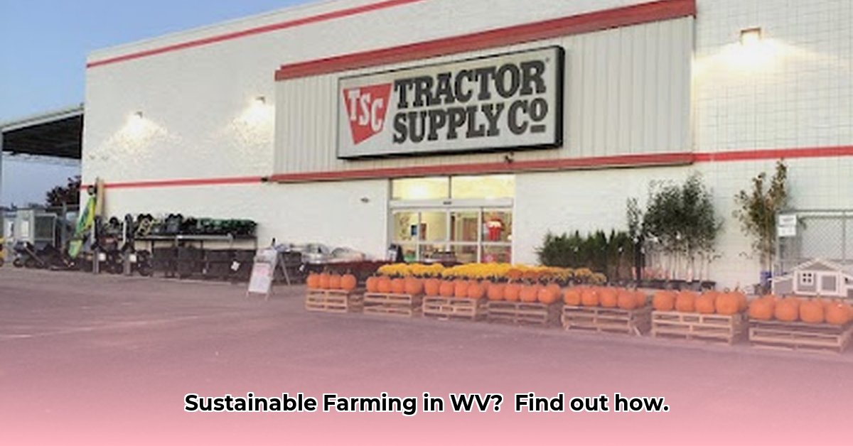 morgantown-tractor-supply